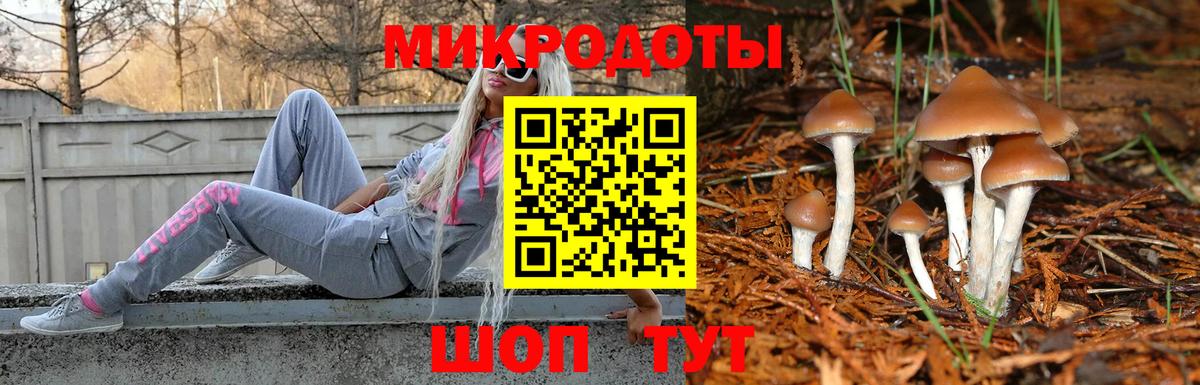Пугачёв  Псилоцибиновые грибы прущие грибы  Вход с VPN 