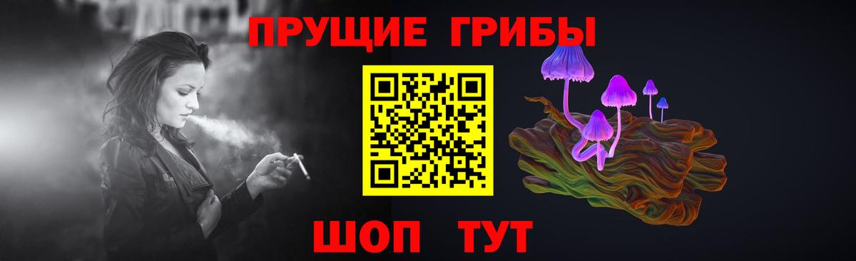 Псилоцибиновые грибы мицелий Пугачёв